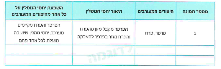 (בספר תמונה 1)